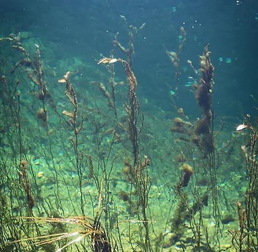 Gasthof La Casa Del Cura De 4*